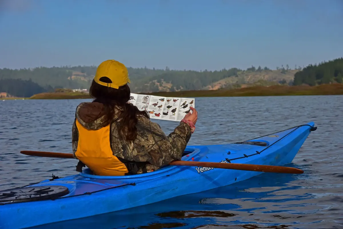 Kayak de travesía en el humedal