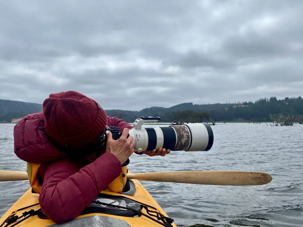 Trip photographique dans le humedal